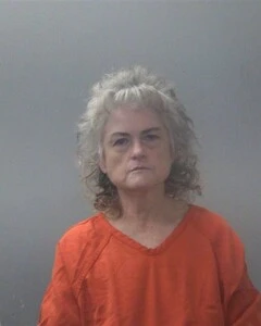 Cynthia A Nehring booking photo